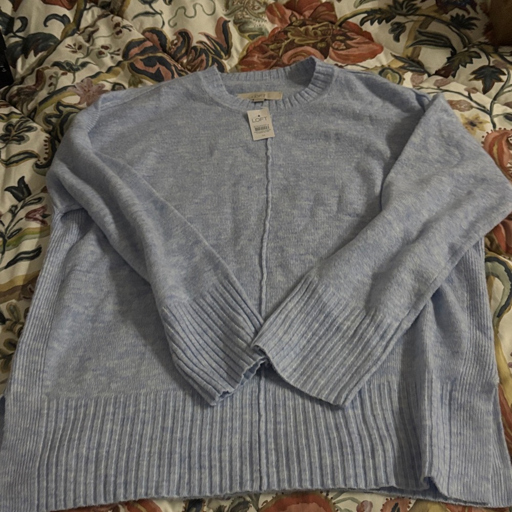 LOFT Soft Blue Knit Sweater